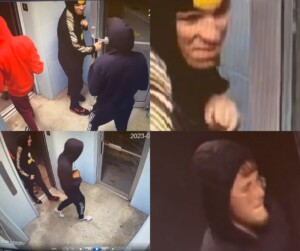 Tivolithefts