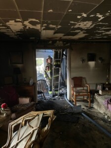 Image1