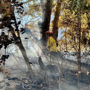 Bradley County Fire & Rescue
