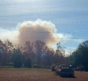 Wildfire1