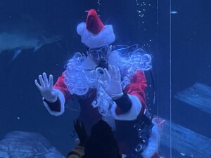 Scuba Claus